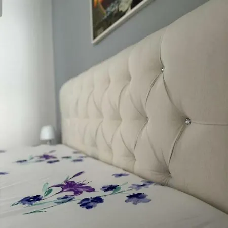 The Moon Apartment